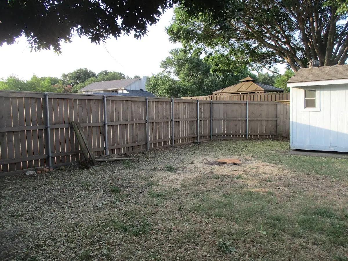 Cleared yard after professional tree removal in Mc Roberts